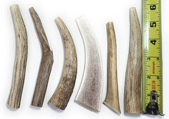 Big Dog Antler Chews: ensemble de 6 morceaux de ramure, aliment naturel durable pour petits chiens.