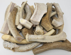 Big Dog Antler Chews – tranches de cerf, pièces robustes adaptées aux chiens non agressifs