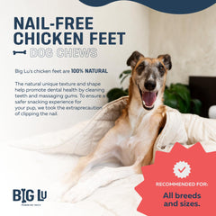 Big Lu ingrédient simple: poulet, friandise naturelle.