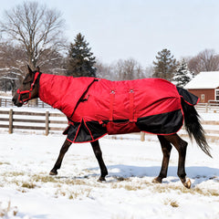 BIGANTTOW couverture hiver cheval 1200D vue avant, protection durable contre le froid.