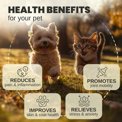 Gouttes Billion Pets pour chien et chat, dosage précis pour le quotidien.
