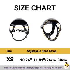 Utilisation en exterieur chien portant casque Billionchains lors de velo ou moto.