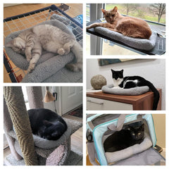Coussin chat Billionchains moelleux, soutien doux pour la tête.