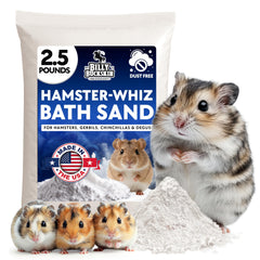 Billy Buckskin Hamster - bain de sable: enrichissement naturel et pelage brillant.