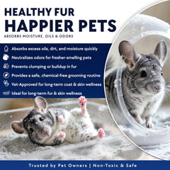 Billy Buckskin Hamster - bain de sable: activité ludique et réduction du stress.
