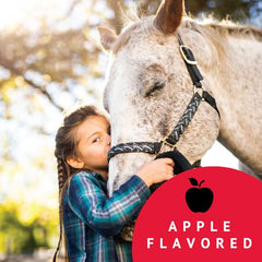 Bimectin pâte ivermectine pour chevaux, contrôle des parasites et bots en action.