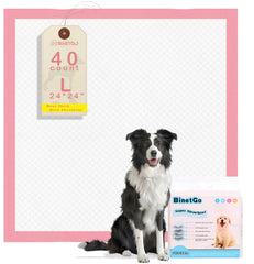 BinetGo tapis educateur pour chien 24x24, absorption ultra élevée et confort.