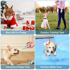 Idéal petits chiens, cadeau pratique pour l'éveil et le divertissement.