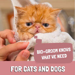 Bio-Groom Réduction d’odeur, solution légère pour le conduit auditif
