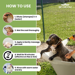 Bio-Groom Shampoing Puces Tiques chiots chatons, convient pour jeunes animaux.