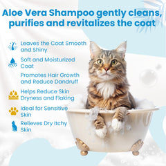 Bio PetActive démêlage pellicules pour pelage plus propre et moins irrité.
