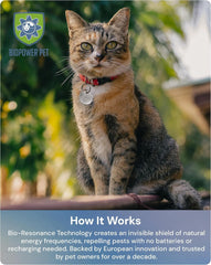 BioPower Pet Shield accessoire résistant à l'eau, idéal pour les sorties quotidiennes.