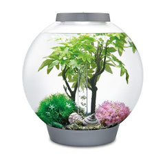 BiOrb boule fleurs marguerites rose, ajoute couleur naturelle et charme estival à l'aquarium.