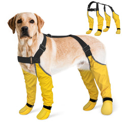 BiPawTi bottes suspendues anti-perte pour chien, sécurité renforcée lors des sorties.