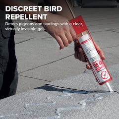 Bird B Gone gel sur surface extérieure: protège rebords et conduits durablement