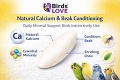 Birds LOVE Cuttlebone avec support, pose facile dans la cage et usage quotidien.