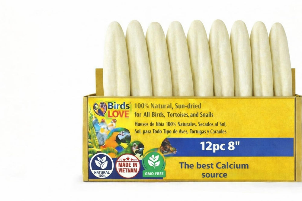 Birds LOVE Cuttlebone naturel sec au soleil, apport naturel en calcium pour oiseaux.