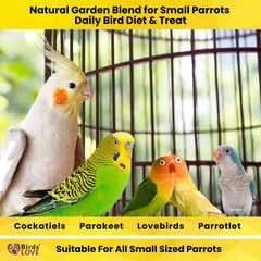 Birds LOVE grains et graines sans colorants artificiels pour une nutrition naturelle.
