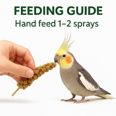 Birds LOVE millet sans-tiges 5 lb: extrémités comestibles faciles à partager