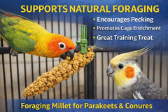 Birds LOVE Millet: production américaine assurant fraîcheur et traçabilité.