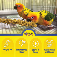 Birds LOVE Oiseau dégustant millet – friandise savoureuse pour vos oiseaux