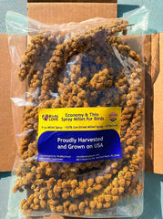 Birds LOVE idéal pour calopsitte, stimulation par le forage.