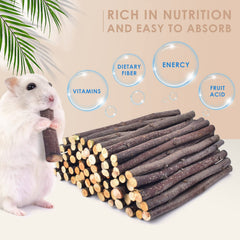Bissap batonnet-pomme-cochon-d-inde : riche en nutriments et saveur agréable.