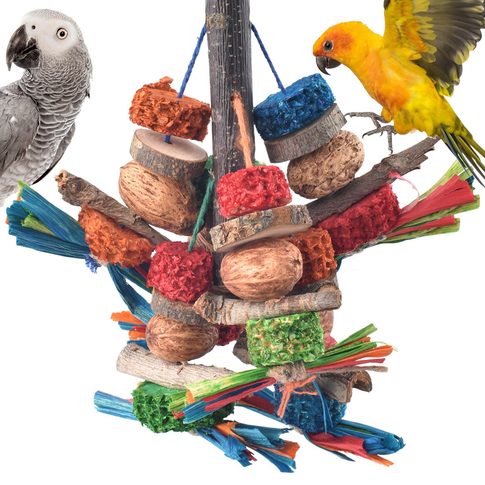Jouet Bissap pour perroquet, bois naturel et ensemble prêt à l’emploi pour le jeu.