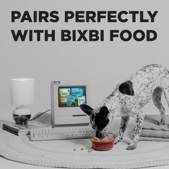 Jerky BIXBI sans additifs ni conservateurs pour une friandise simple et naturelle.