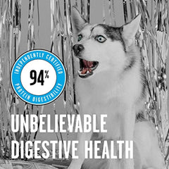 Bol chien avec BIXBI Liberty, nutrition pratique au quotidien.