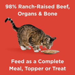 BIXBI RAWBBLE bouchées lyophilisées au boeuf pour chat, texture croquante.