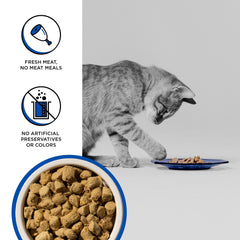 BIXBI RAWBBLE morceaux viande et organes : protéines concentrées pour un repas équilibré.