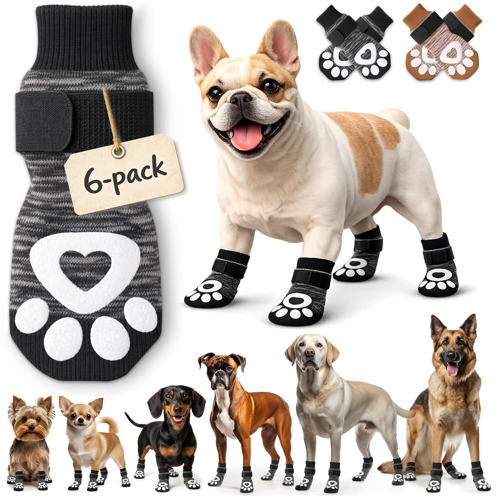 Chaussettes anti-glisse Bixie portées par un chien pour traction accrue