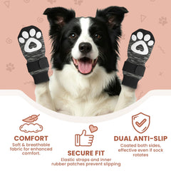 Chaussons bixie pour chien senior offrant stabilité et soutien quotidien