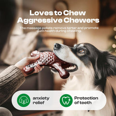 Jouet BLESQU en nylon saveur bacon attire les chiens et prolonge la mastication.