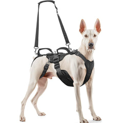 Harnais Blinlit Lift tout-en-un pour chien, sécurité et confort lors des promenades.