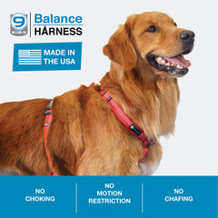 Blue-9 Balance harnais avec Anneaux dorsal et thoracique pour gestion du tirage.