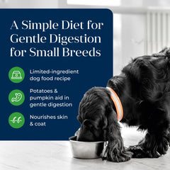 Blue Buffalo Basics, digestion douce pour les petits chiens exigeants.