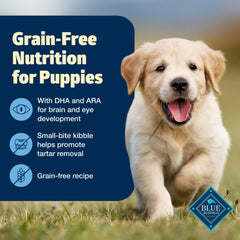 Blue Buffalo Freedom DHA-ARA, développement cognitif et visuel pour chiot
