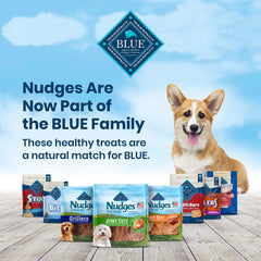 Blue Buffalo Nudges Homestyle texture tendre et savoureuse, récompense idéale