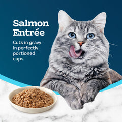 Blue Buffalo Tastefuls nourriture humide chat en jus et saveur saumon