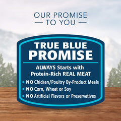 Blue Buffalo Wilderness Pâté dinde : protéines naturelles et digestibilité