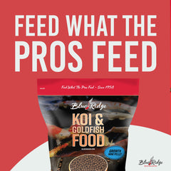 Blue Ridge Koi Food – boîte 5 lb pratique pour nourrir tout au long de l'année.