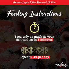 Blue Ridge Koi Food : alimentation premium pour étang, koi et goldfish.