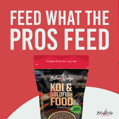 Blue Ridge Koi pellets-digestibles: croissance possible et eau plus propre.