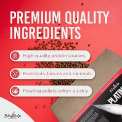 Blue Ridge Koi Pellets Platine Pro – immunité renforcée grâce aux probiotiques