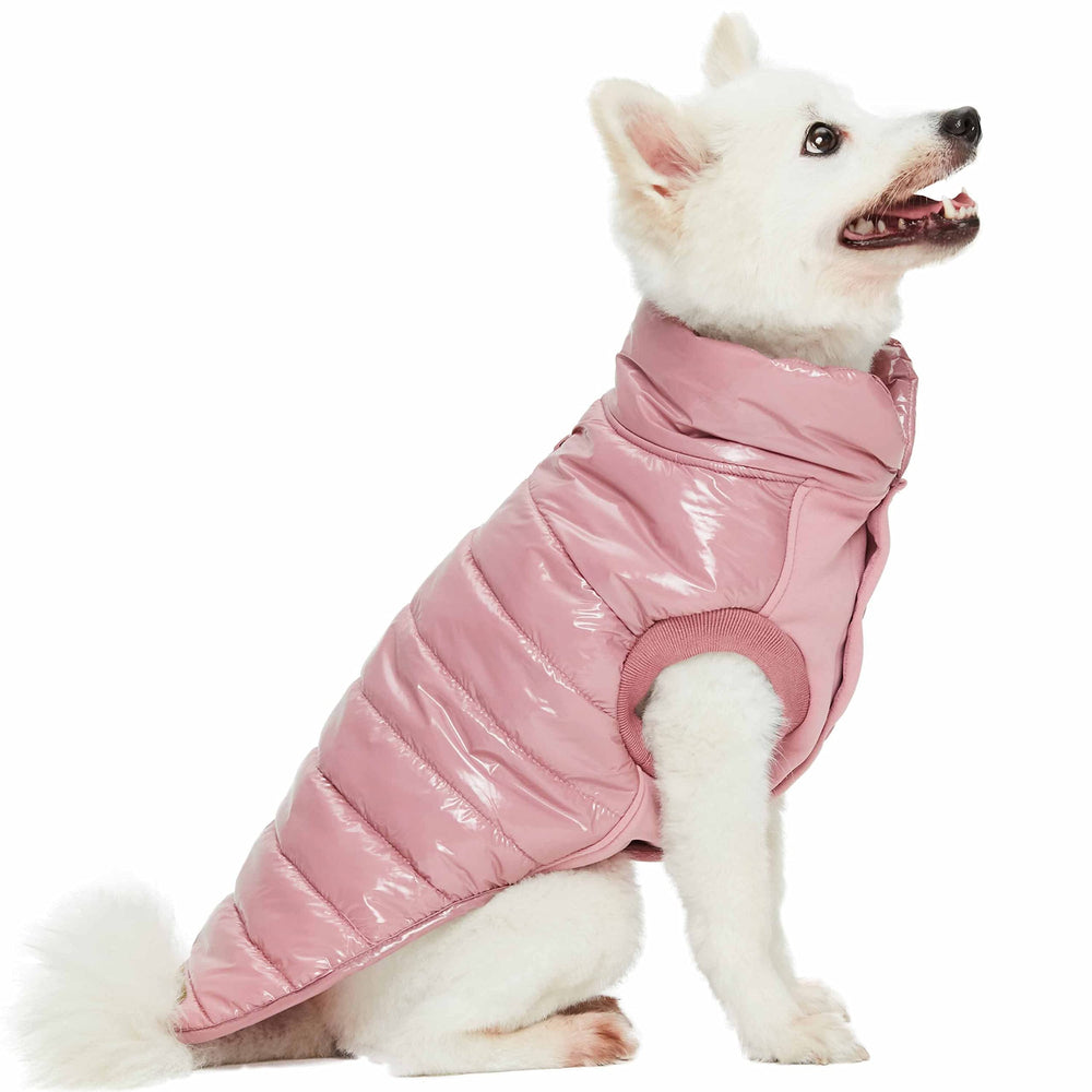 Blueberry Pet manteau puffer mauve dos 14 pouces, chaleur légère pour petit chien.