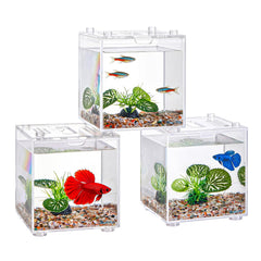 Bluevita tank hospitalier poisson malade pour isolement temporaire et surveillance facile.