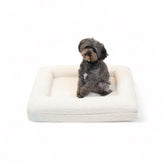 Lit Bluewater Dog bouclé orthopédique offrant un soutien confortable pour les articulations.