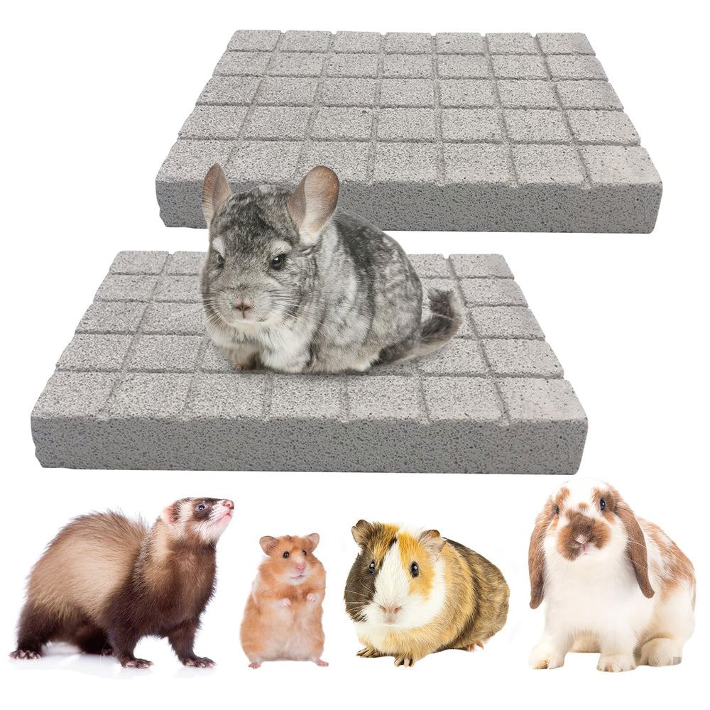 BNOSDM pad-griffes chinchilla en pierre de lave blanche pour entretenir les griffes.